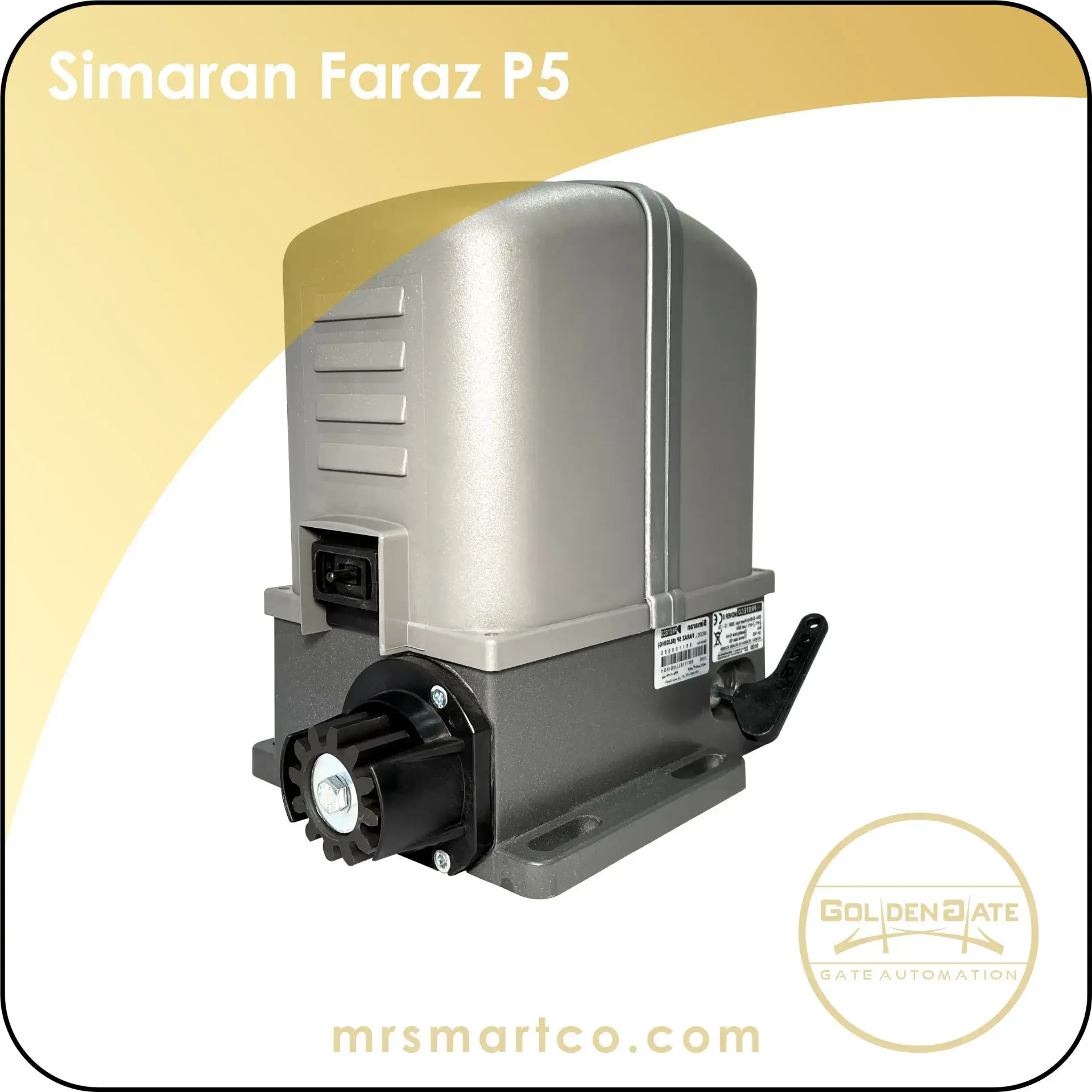 simaran Faraz P5