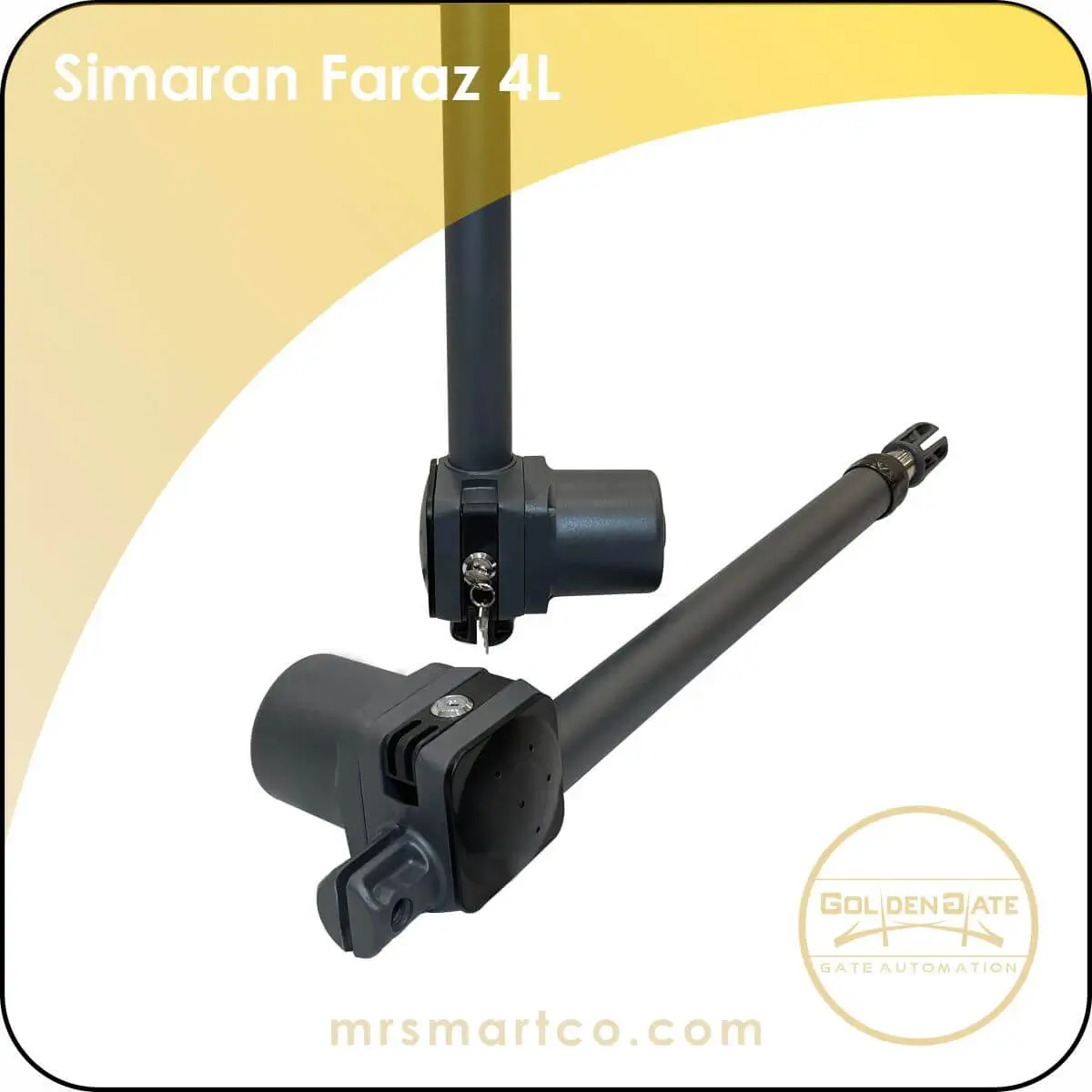 Simaran Faraz 4L