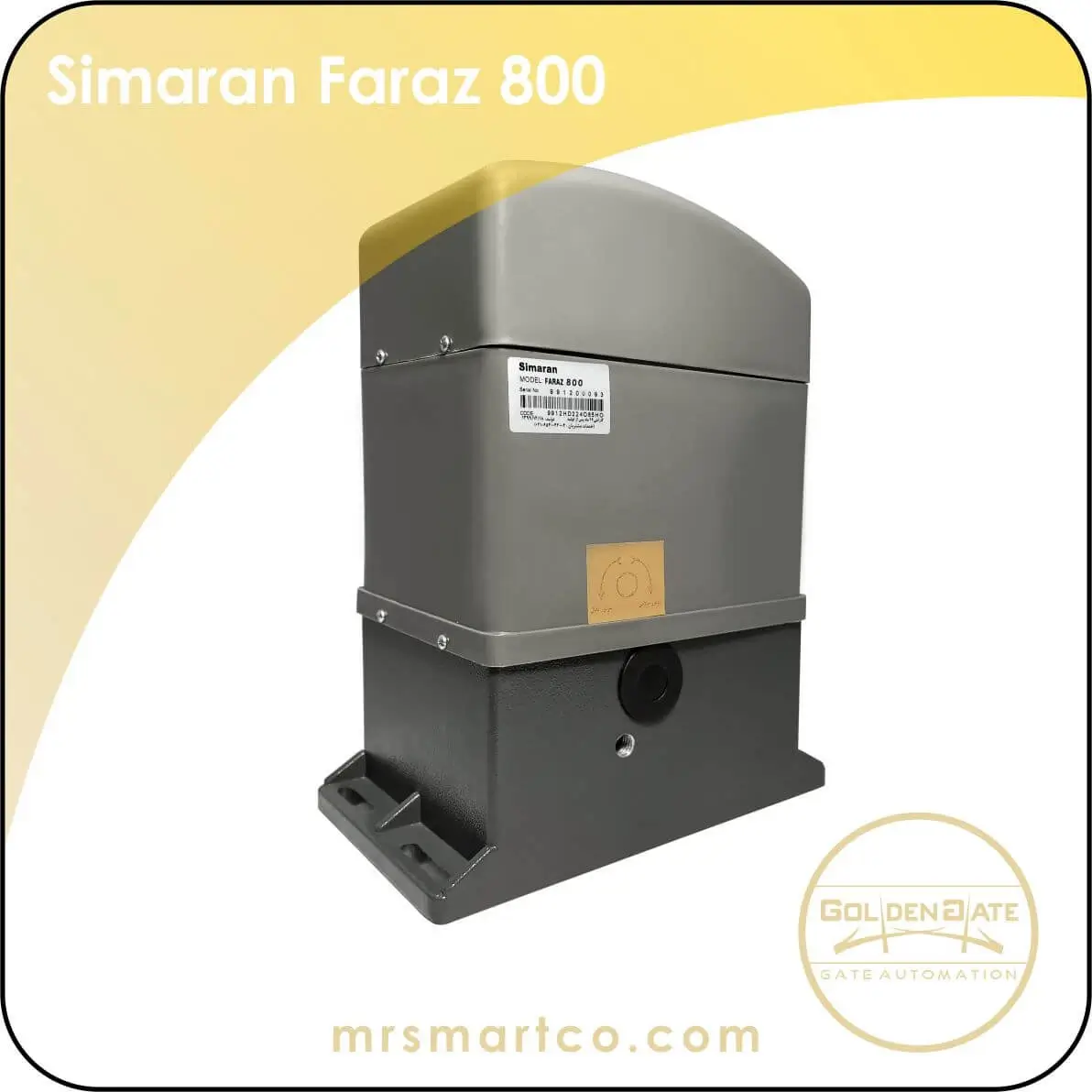 Simaran Faraz 800