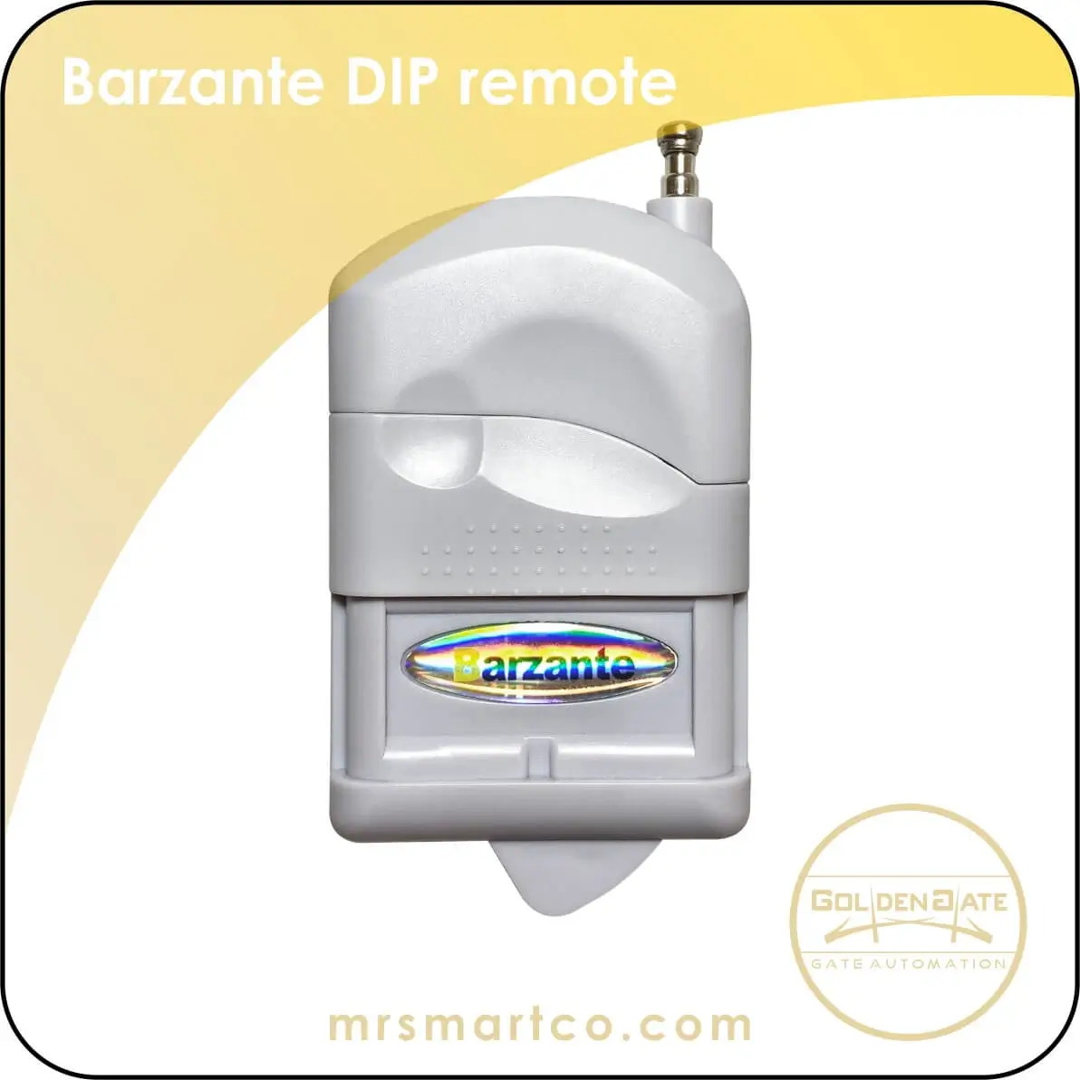 barzante DIP remote