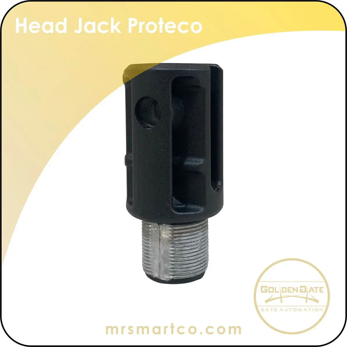 Head Jack Proteco